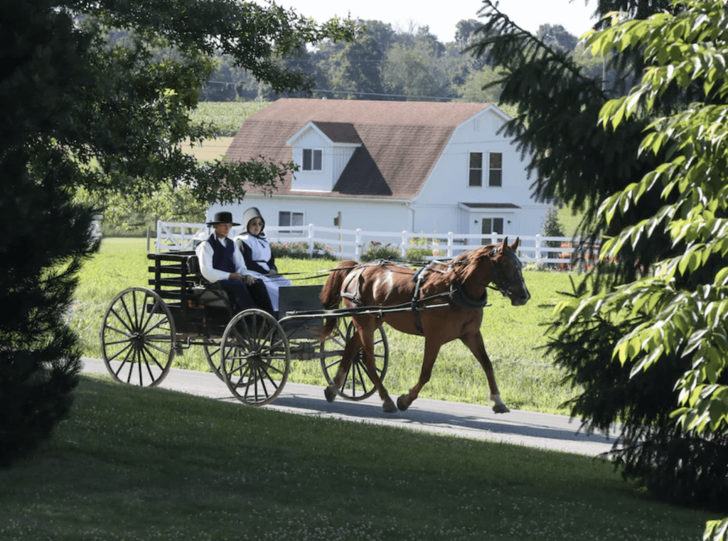 Lessons from an Amish Upbringing: Navigating Life’s Journey with Simplicity and Values