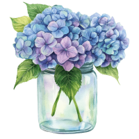 hydrangea